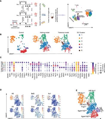 Frontiers Single Cell Rna Sequencing Reveals Distinct Clusters Of